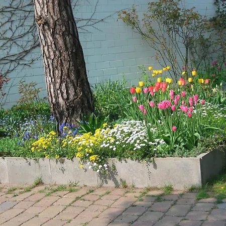 Bismarckshoehe Wanda Daire Heringsdorf