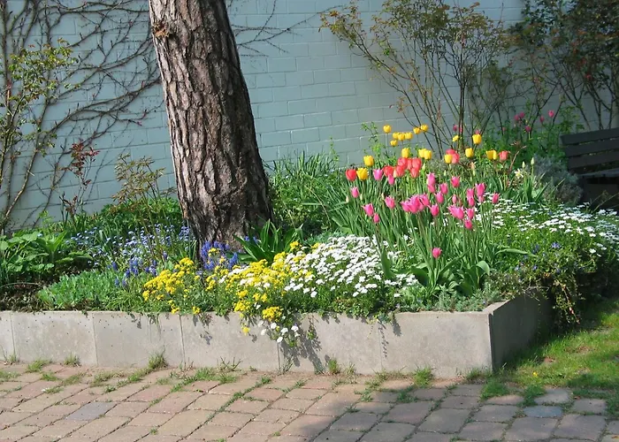 Bismarckshoehe Wanda Lägenhet Heringsdorf (Usedom)